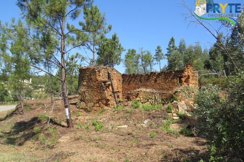 Farm i Serta, Castelo Branco, Serta - € 350.000 | Ref: AA273 - foto 24