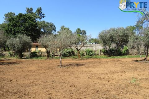 Farm i Serta, Castelo Branco, Serta - € 350.000 | Ref: AA273 - foto 25