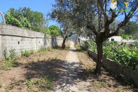 Farm i Serta, Castelo Branco, Serta - € 350.000 | Ref: AA273 - foto 27