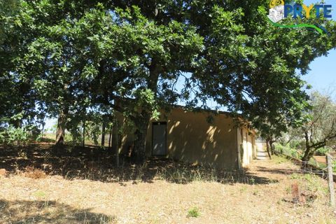 Farm i Serta, Castelo Branco, Serta - € 350.000 | Ref: AA273 - foto 28
