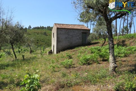 Farm i Serta, Castelo Branco, Serta - € 350.000 | Ref: AA273 - foto 31
