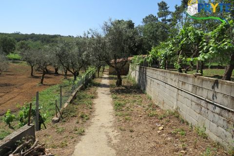 Farm i Serta, Castelo Branco, Serta - € 350.000 | Ref: AA273 - foto 32