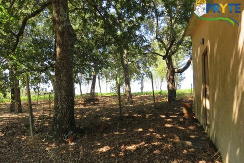 Farm i Serta, Castelo Branco, Serta - € 350.000 | Ref: AA273 - foto 33