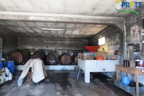 Farm i Serta, Castelo Branco, Serta - € 350.000 | Ref: AA273 - foto 49