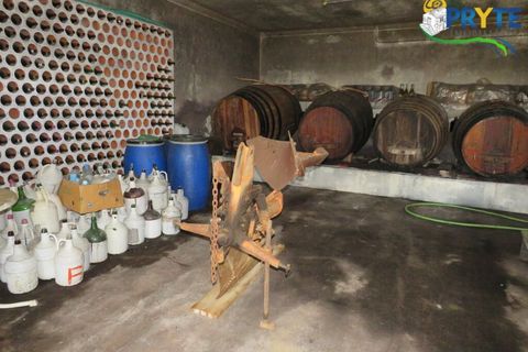 Farm i Serta, Castelo Branco, Serta - € 350.000 | Ref: AA273 - foto 50