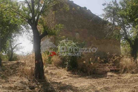 Helårsgrund i Noto, Siracusa, Noto - € 55.000 | Ref: 17T - foto 5