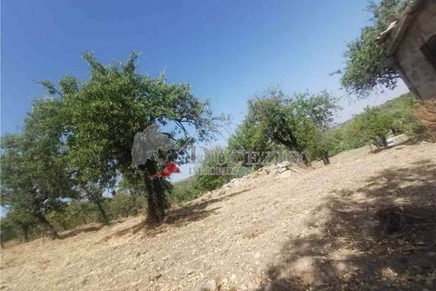 Helårsgrund i Noto, Siracusa, Noto - € 55.000 | Ref: 17T - foto 8