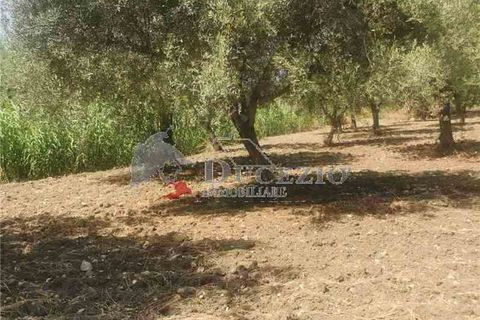 Helårsgrund i Noto, Siracusa, Noto - € 55.000 | Ref: 17T - foto 9