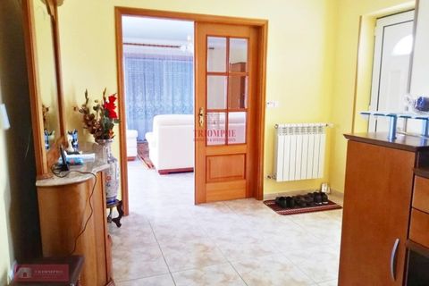 Villa i Pombal, Leiria, Pombal - € 700.000 | Ref: TPH229-07 - foto 11