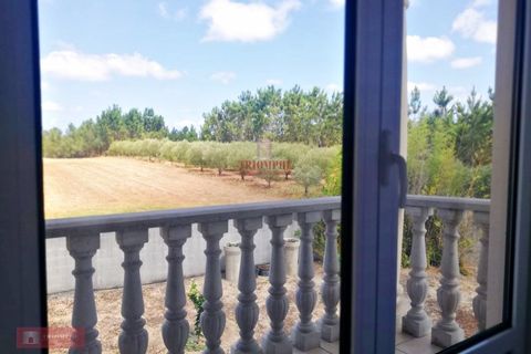Villa i Pombal, Leiria, Pombal - € 700.000 | Ref: TPH229-07 - foto 25