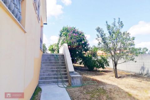 Villa i Pombal, Leiria, Pombal - € 700.000 | Ref: TPH229-07 - foto 27