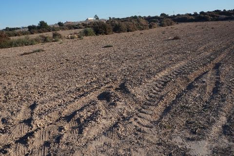 Grond in Elche, Alicante, Elche - € 399.000 | Ref: SP3236 - foto 3