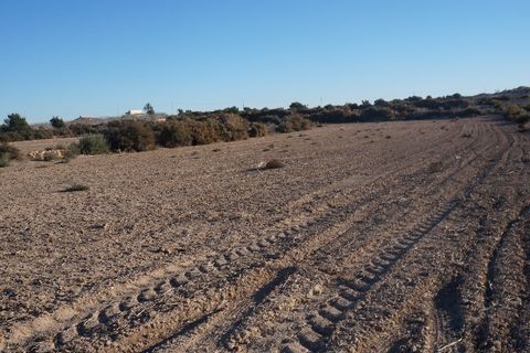 Grond in Elche, Alicante, Elche - € 399.000 | Ref: SP3236 - foto 5