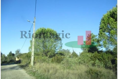 Helårsgrund i Tomar, Santarem, Tomar - € 105.000 | Ref: 406.23 - foto 3