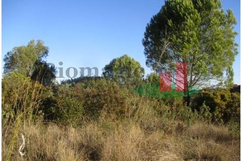 Helårsgrund i Tomar, Santarem, Tomar - € 105.000 | Ref: 406.23 - foto 5