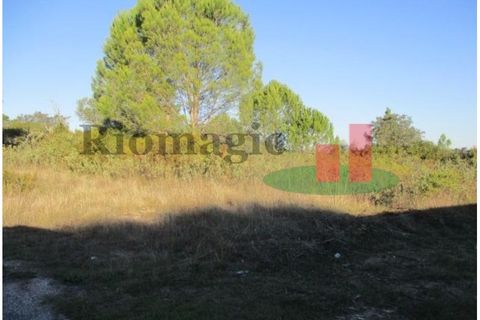 Helårsgrund i Tomar, Santarem, Tomar - € 105.000 | Ref: 406.23 - foto 2