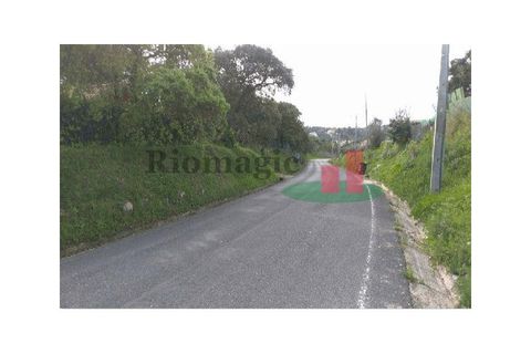 Helårsgrund i Tomar, Santarem, Tomar - € 105.000 | Ref: 406.23 - foto 6