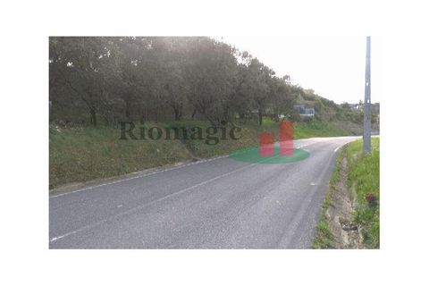 Helårsgrund i Tomar, Santarem, Tomar - € 105.000 | Ref: 406.23 - foto 7