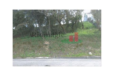 Helårsgrund i Tomar, Santarem, Tomar - € 105.000 | Ref: 406.23 - foto 8