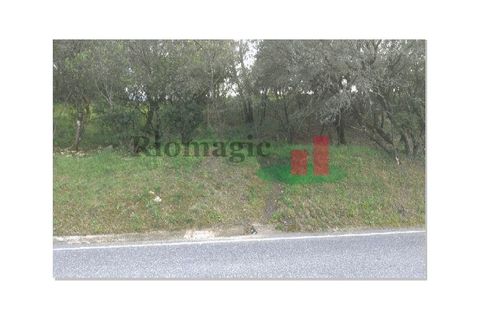 Helårsgrund i Tomar, Santarem, Tomar - € 105.000 | Ref: 406.23 - foto 9