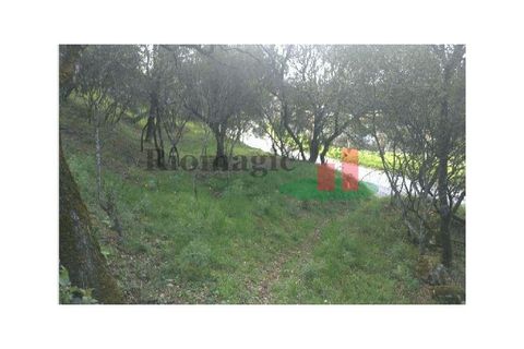 Helårsgrund i Tomar, Santarem, Tomar - € 105.000 | Ref: 406.23 - foto 11