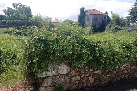 Helårsgrund i Valenca, Viana do Castelo, Valenca - € 48.000 | Ref: VLC0145T - foto 2