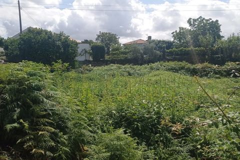 Helårsgrund i Valenca, Viana do Castelo, Valenca - € 48.000 | Ref: VLC0145T - foto 3