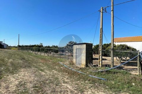 Helårsgrund i Alpiarca, Santarem, Alpiarca - € 56.150 | Ref: 1423 - foto 3