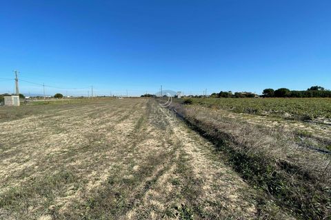 Helårsgrund i Alpiarca, Santarem, Alpiarca - € 56.150 | Ref: 1423 - foto 5