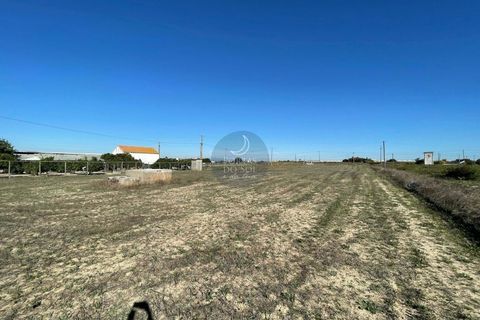 Helårsgrund i Alpiarca, Santarem, Alpiarca - € 56.150 | Ref: 1423 - foto 6