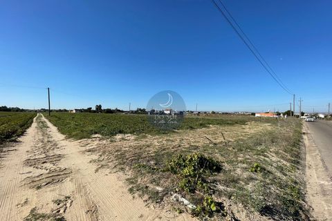 Helårsgrund i Alpiarca, Santarem, Alpiarca - € 56.150 | Ref: 1423 - foto 7