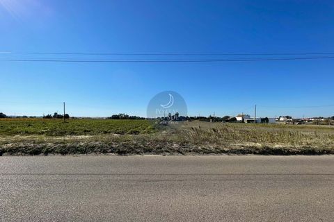 Helårsgrund i Alpiarca, Santarem, Alpiarca - € 56.150 | Ref: 1423 - foto 9