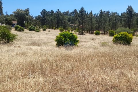 Terra a Chamusca, Santarem, Chamusca - € 45.000 | Ref: 1728 - foto 6