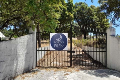 Terra a Chamusca, Santarem, Chamusca - € 45.000 | Ref: 1728 - foto 7