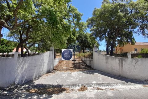 Terra a Chamusca, Santarem, Chamusca - € 45.000 | Ref: 1728 - foto 8