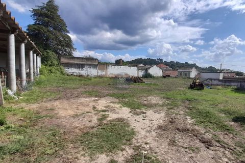 Helårsgrund i Chamusca, Santarem, Chamusca - € 120.000 | Ref: 1738 - foto 1