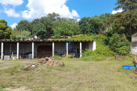 Helårsgrund i Chamusca, Santarem, Chamusca - € 120.000 | Ref: 1738 - foto 2