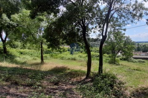 Helårsgrund i Chamusca, Santarem, Chamusca - € 120.000 | Ref: 1738 - foto 3