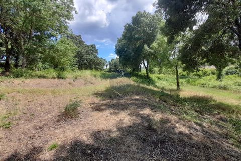 Helårsgrund i Chamusca, Santarem, Chamusca - € 120.000 | Ref: 1738 - foto 5