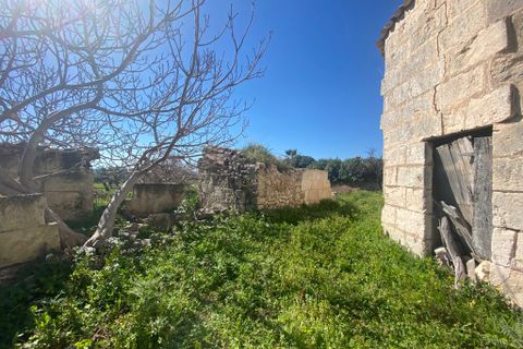Cortijo i Campanet, Mallorca, Campanet - € 850.000 | Ref: T-72 - foto 6