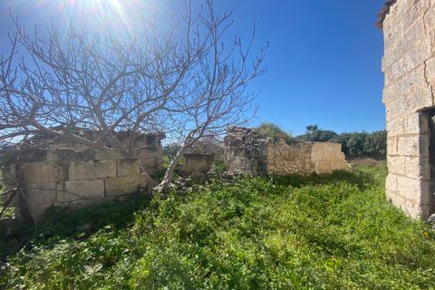 Cortijo i Campanet, Mallorca, Campanet - € 850.000 | Ref: T-72 - foto 8