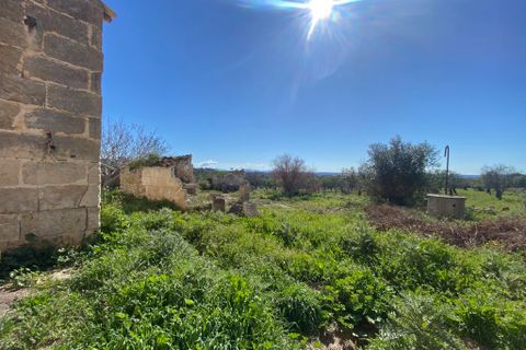 Cortijo i Campanet, Mallorca, Campanet - € 850.000 | Ref: T-72 - foto 9
