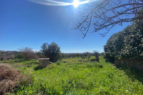 Cortijo i Campanet, Mallorca, Campanet - € 850.000 | Ref: T-72 - foto 10