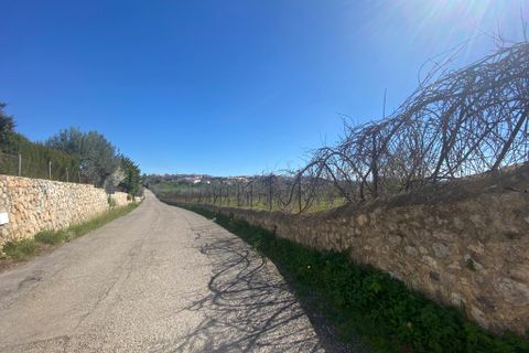 Cortijo i Campanet, Mallorca, Campanet - € 850.000 | Ref: T-72 - foto 12