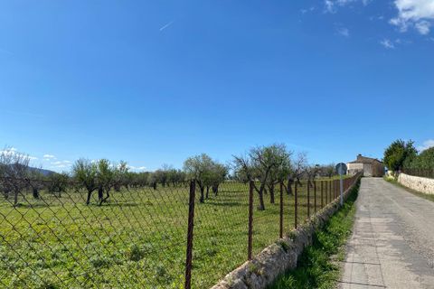 Cortijo i Campanet, Mallorca, Campanet - € 850.000 | Ref: T-72 - foto 14