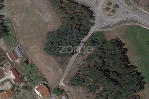 Helårsgrund i Cantanhede, Coimbra, Cantanhede - € 40.000 | Ref: ZMPT559383 - foto 3