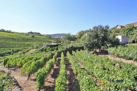 Helårsgrund i Sabrosa, Vila Real, Sabrosa - € 120.000 | Ref: MH2341 - foto 2