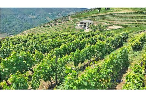 Helårsgrund i Sabrosa, Vila Real, Sabrosa - € 120.000 | Ref: MH2341 - foto 4