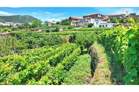 Helårsgrund i Sabrosa, Vila Real, Sabrosa - € 120.000 | Ref: MH2341 - foto 7