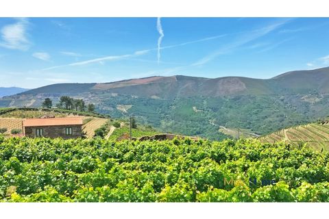 Helårsgrund i Sabrosa, Vila Real, Sabrosa - € 120.000 | Ref: MH2341 - foto 8